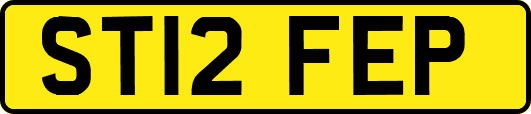 ST12FEP