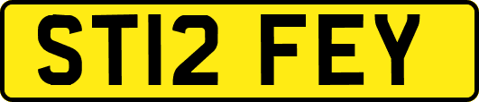 ST12FEY