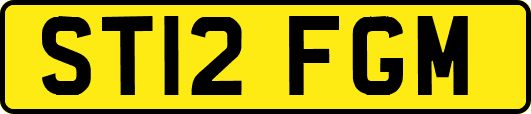 ST12FGM