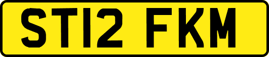 ST12FKM