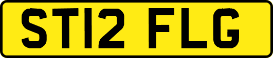 ST12FLG