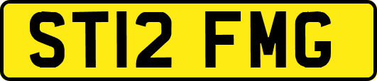 ST12FMG
