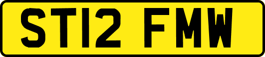 ST12FMW