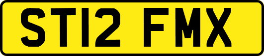 ST12FMX