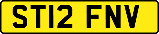 ST12FNV