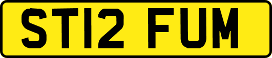 ST12FUM