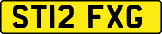 ST12FXG