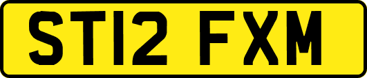 ST12FXM