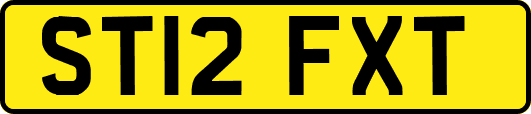 ST12FXT