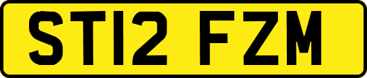 ST12FZM