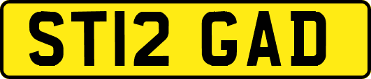 ST12GAD
