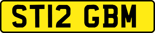ST12GBM