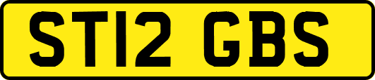ST12GBS