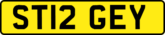 ST12GEY