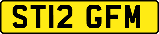 ST12GFM