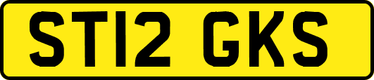 ST12GKS