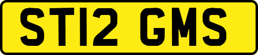 ST12GMS