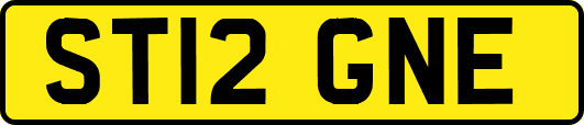 ST12GNE