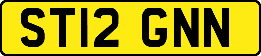 ST12GNN