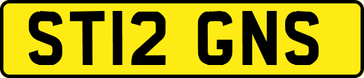 ST12GNS