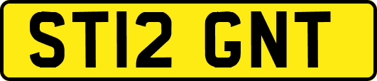 ST12GNT