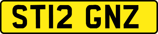 ST12GNZ
