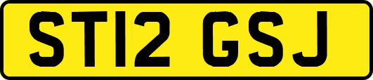 ST12GSJ