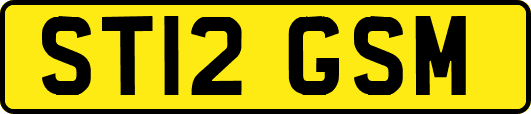 ST12GSM