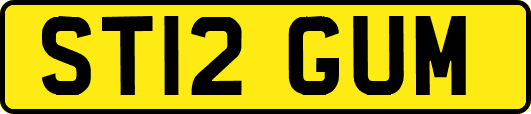 ST12GUM
