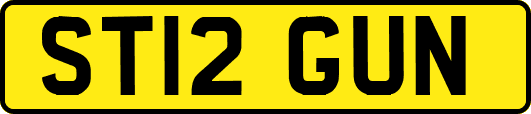 ST12GUN