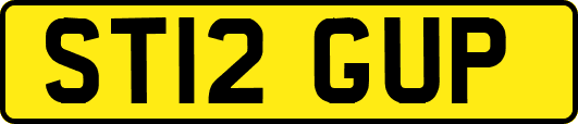 ST12GUP