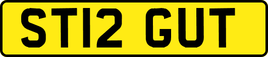 ST12GUT