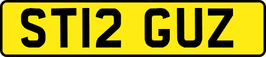 ST12GUZ