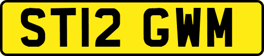 ST12GWM