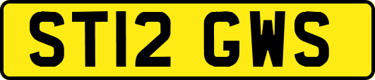 ST12GWS
