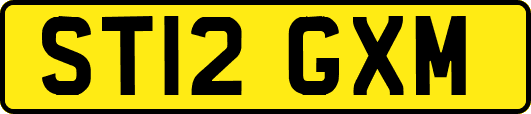 ST12GXM