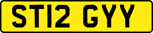 ST12GYY