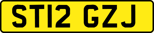 ST12GZJ