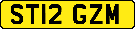 ST12GZM