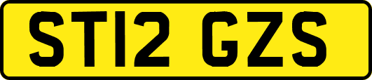 ST12GZS