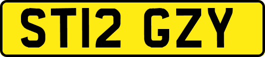 ST12GZY