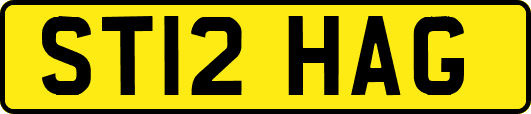 ST12HAG