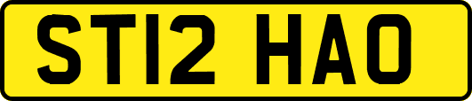 ST12HAO
