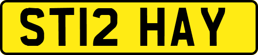 ST12HAY