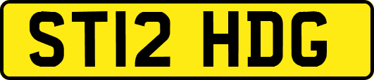 ST12HDG
