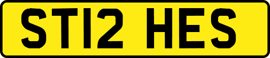 ST12HES