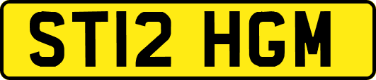 ST12HGM