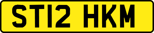 ST12HKM