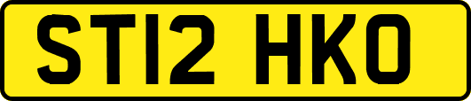 ST12HKO