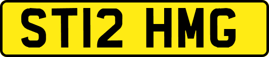 ST12HMG